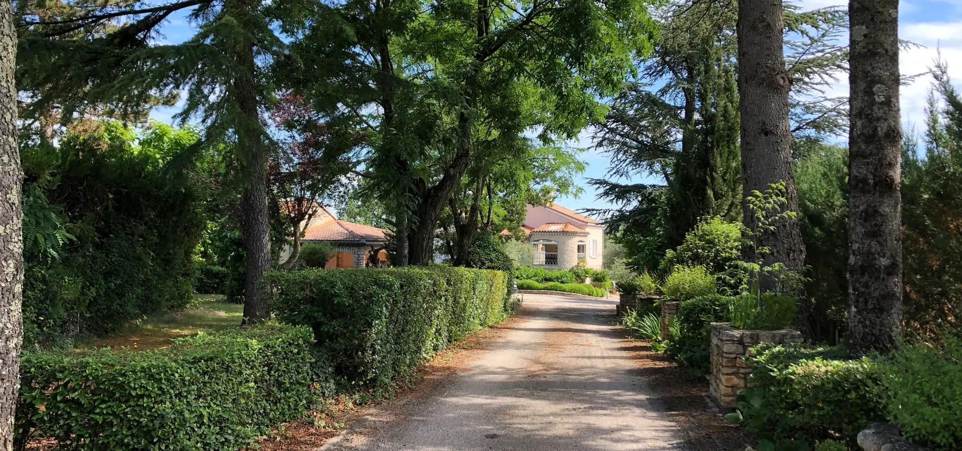 Tree-lined driveway leading to the gîtes