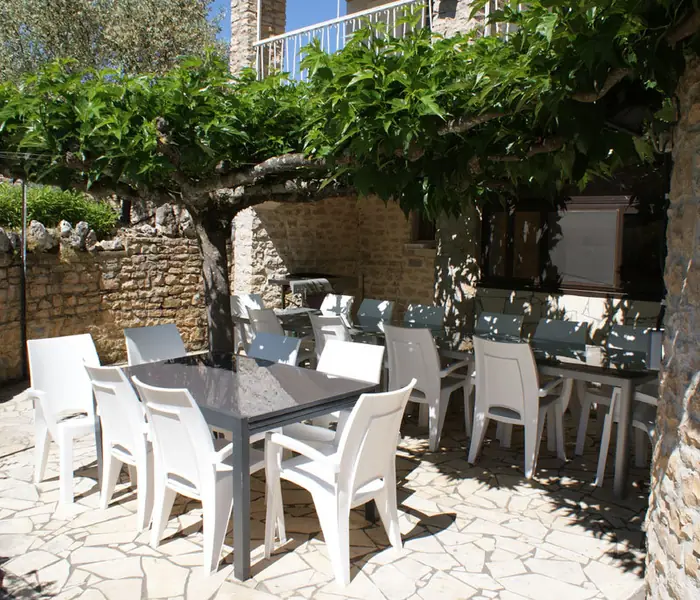 Terrace shaded by a vine arbour, with tables and chairs