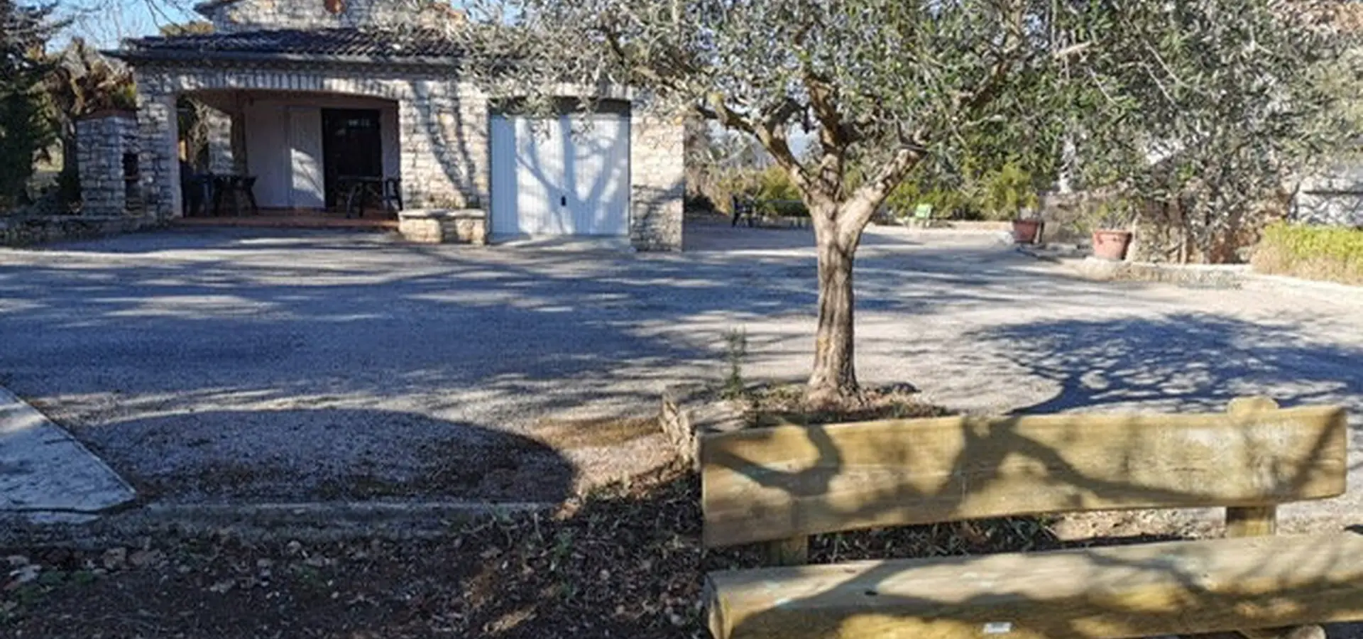 Gîte Nature courtyard with its olive tree and wooden bench